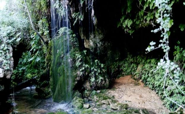 Aguas curativas del Pozo de las Quebradas. 