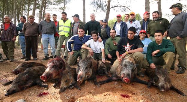 Jabalíes importados para aumentar la sobrepoblación