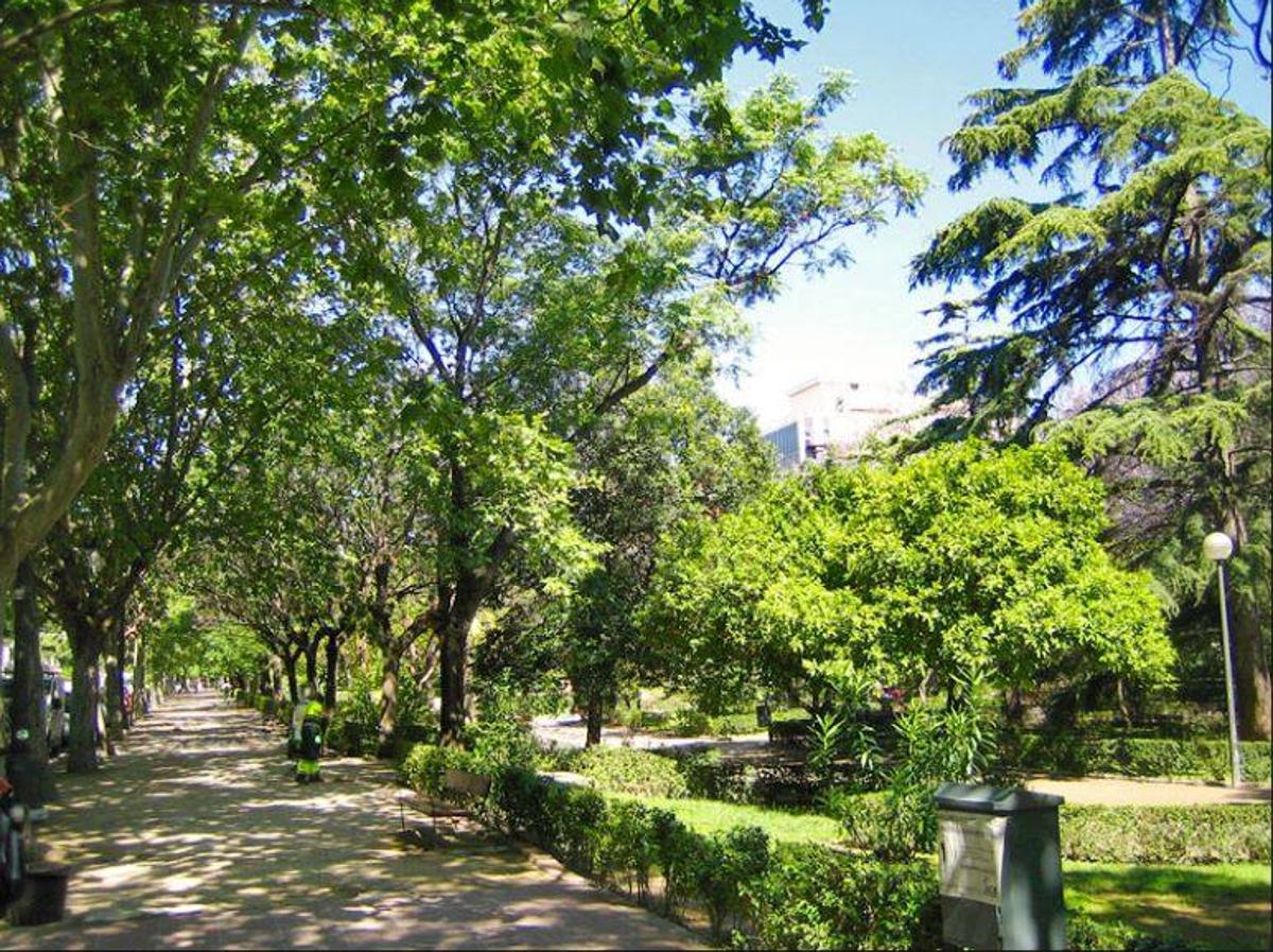 Modificado el proyecto varias veces, tiene en la actualidad 50 metros de jardín central en su primer tramo. En 1952 llega el paseo hasta la actual avenida de Cataluña y en 1975 se comienza la ejecución del tercer tramo, llegando hoy en día hasta la estación de trenes del Cabanyal.