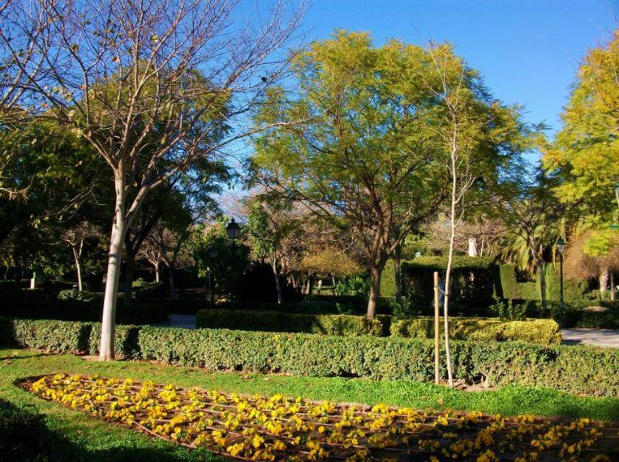 En el siglo XX dio comienzo su transformación en el parque público actual, adoptando así el nombre de Jardín de Viveros. Cuenta con más de 2.700 ejemplares arbóreos de más de 160 especies distintas, entre los que destacan las Palmeras Washingtonias del paseo de entrada o el Kusamaki frente a la Alquería de Canet. Además, son reseñables los trabajos escultóricos cincelados sobre mármol de Carrara que pueblan sus caminos, como la Diosa Flora de Font Blanch, Despertar de Benlloch Casarés o los Dioses de Antonio Ponzanelli.