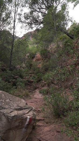 El sendero dominguero por excelencia de la Sierra Calderona, paso a paso