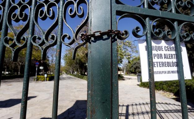 La alerta por fuertes vientos obliga a cerrar nueve parques y jardines de Valencia