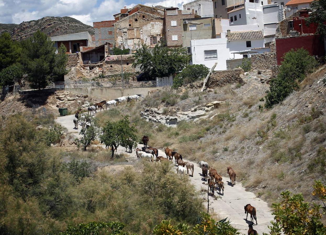 Losa del Obispo | Este municipio se encuentra en la comarca de Los Serranos y en su término municipal se encuentra uno de los yacimientos más importantes del Bronce Valenciano: la Atalayuela. El apelativo 'Del Obispo' viene porque, esta villa, fundada en 1271, en plena Reconquista, perteneció junto con Villar del Arzobispo a la Baronía de Chulilla; pero después de numerosos conflictos y con la mediación del Arzobispo de Valencia, Juan de Rocaberti, que suplicó a la villa de Chulilla la independencia, ésta se consiguió con carácter definitivo el 7 de mayo de 1795 confirmando la disposición tomada por el arzobispo Rocarberti, en 1686. 