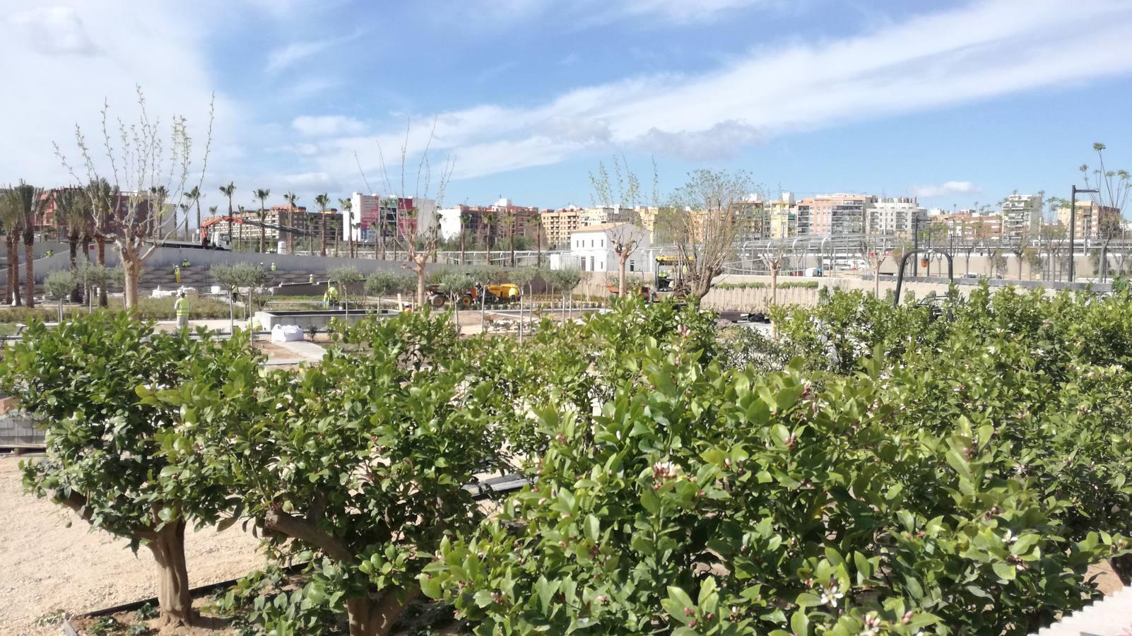 Las obras del jardín suman ya 800 árboles y buena parte de las 100.000 plantas