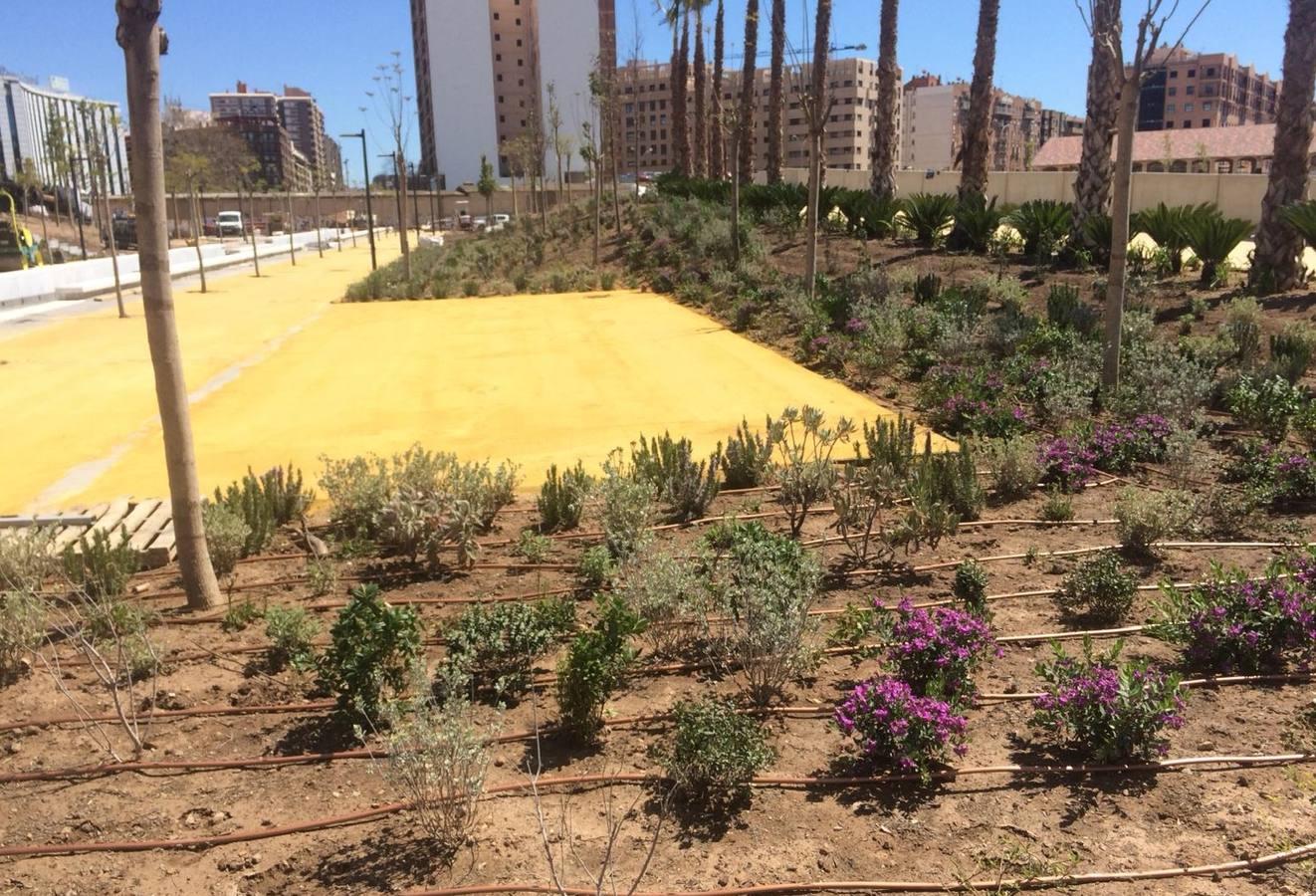 Las obras del jardín suman ya 800 árboles y buena parte de las 100.000 plantas