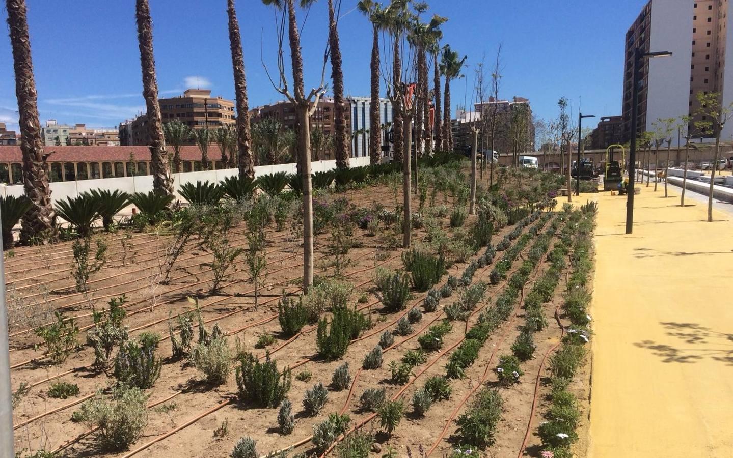 Las obras del jardín suman ya 800 árboles y buena parte de las 100.000 plantas