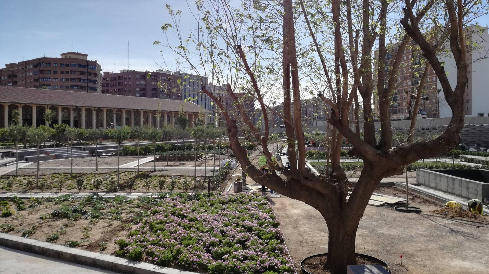 Las obras del jardín suman ya 800 árboles y buena parte de las 100.000 plantas