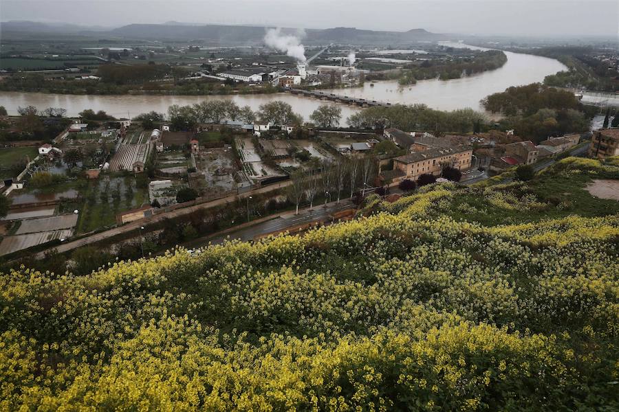 El Ebro ha provocado grandes problemas en municipios de la ribera de Navarra y Aragón. El río se ha desbordado en varios puntos anegados zonas declaradas de 'acción urgente'. Los niveles registrado han sido muy similares a los de 2015 e incluso en la capital aragonesa se han llevado a cabo cortes de tráfico dados los primeros desbordamientos del Ebro. La ministra de Agricultura, Isabel García Tejerina, ha visitado las zonas más afectadas sobre las que se rebaja la angustia en los próximos días pero que puede volver ante la previsión de lluvias de cara al fin de semana siguiente.