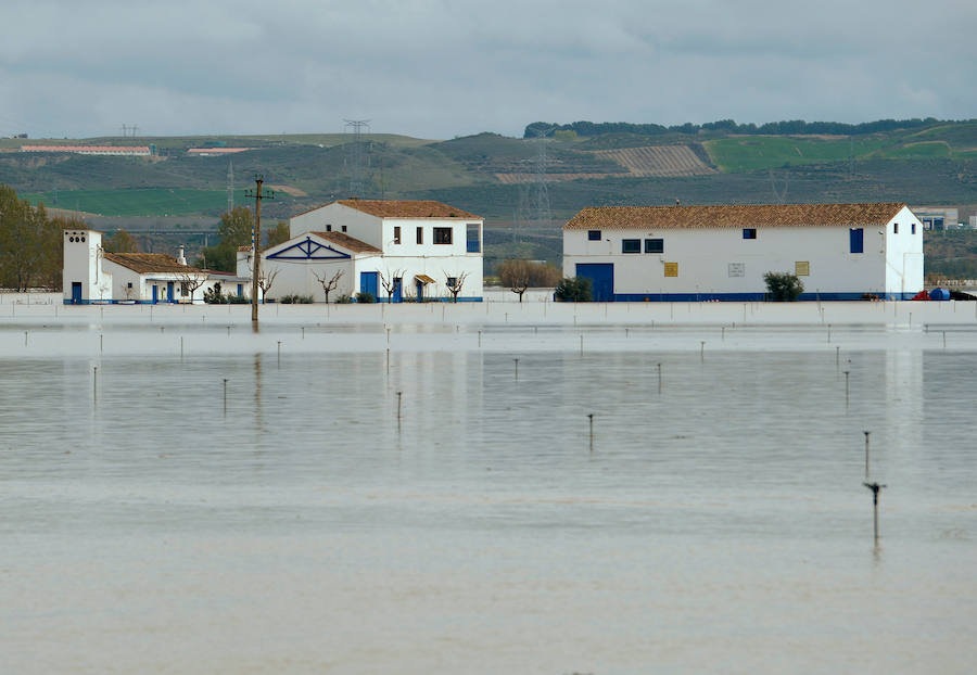 El Ebro ha provocado grandes problemas en municipios de la ribera de Navarra y Aragón. El río se ha desbordado en varios puntos anegados zonas declaradas de 'acción urgente'. Los niveles registrado han sido muy similares a los de 2015 e incluso en la capital aragonesa se han llevado a cabo cortes de tráfico dados los primeros desbordamientos del Ebro. La ministra de Agricultura, Isabel García Tejerina, ha visitado las zonas más afectadas sobre las que se rebaja la angustia en los próximos días pero que puede volver ante la previsión de lluvias de cara al fin de semana siguiente.