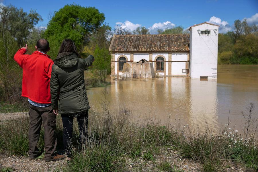 El Ebro ha provocado grandes problemas en municipios de la ribera de Navarra y Aragón. El río se ha desbordado en varios puntos anegados zonas declaradas de 'acción urgente'. Los niveles registrado han sido muy similares a los de 2015 e incluso en la capital aragonesa se han llevado a cabo cortes de tráfico dados los primeros desbordamientos del Ebro. La ministra de Agricultura, Isabel García Tejerina, ha visitado las zonas más afectadas sobre las que se rebaja la angustia en los próximos días pero que puede volver ante la previsión de lluvias de cara al fin de semana siguiente.