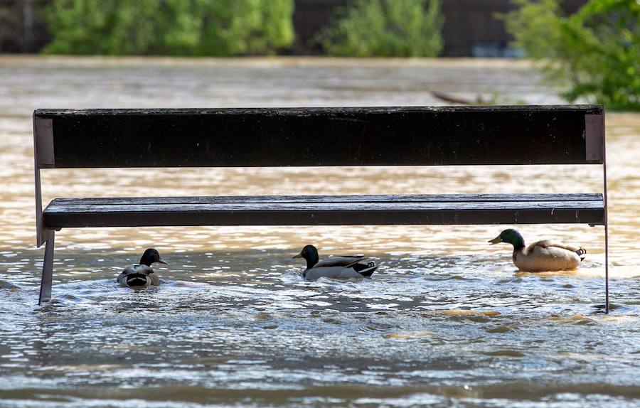 El Ebro ha provocado grandes problemas en municipios de la ribera de Navarra y Aragón. El río se ha desbordado en varios puntos anegados zonas declaradas de 'acción urgente'. Los niveles registrado han sido muy similares a los de 2015 e incluso en la capital aragonesa se han llevado a cabo cortes de tráfico dados los primeros desbordamientos del Ebro. La ministra de Agricultura, Isabel García Tejerina, ha visitado las zonas más afectadas sobre las que se rebaja la angustia en los próximos días pero que puede volver ante la previsión de lluvias de cara al fin de semana siguiente.