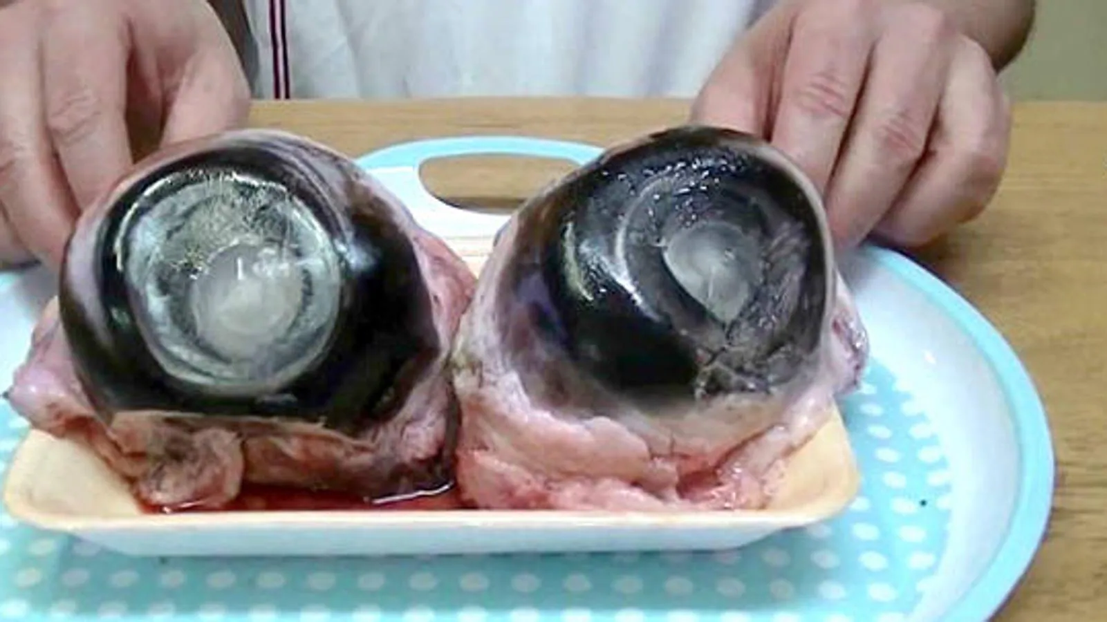 Es habitual encontrarse en los supermercados de Japón ojos gigantes de atún. Por eso, si entras a alguno, habrá un gran número de globos oculares de atún observándote. Como es evidente por su apariencia, esta delicia está compuesta por mucha grasa y muchos músculos. 