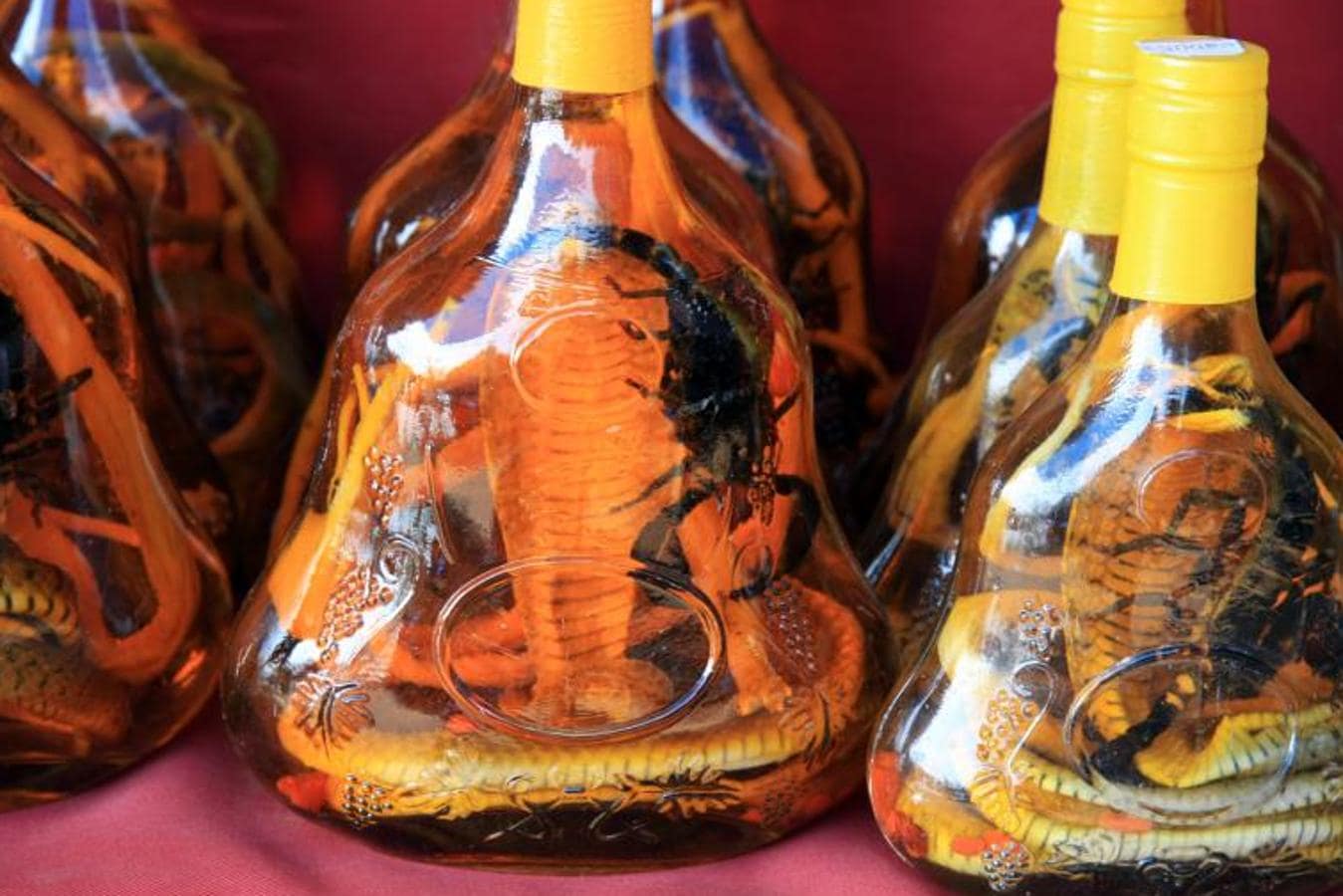El vino de serpiente, consumido sobre todo en el sureste de Asia, es una mezcla entre los fluidos y la sangre de la serpiente con el alcohol, que tiene su origen en Vietnam. Esta extraña combinación, además de otorgarle un sabor peculiar, se dice que tiene propiedades curativas. 