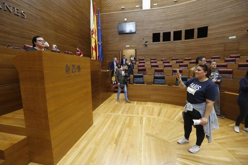 Fotos: Fotos de la jornada de puertas abiertas en Les Corts Valencianes