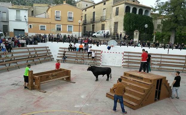 Festejo de 'bous al carrer' celebrado en Sanet y Negrals (Alicante).