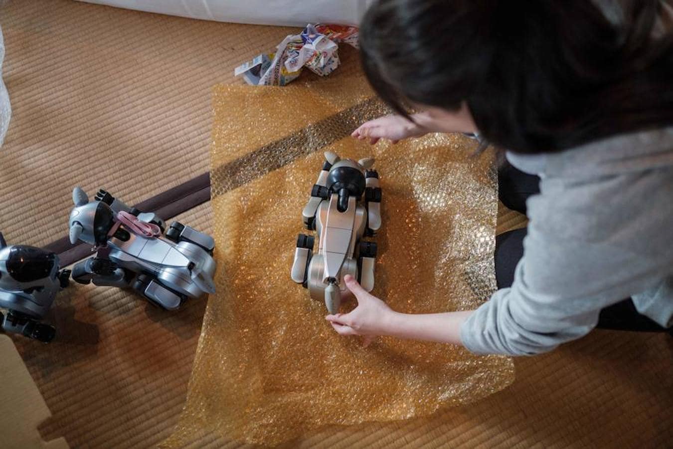 Con el paso de los años, se vendieron más de 150.000 perros. Pero en 2006, a causa de los problemas financieros, Sony dejó de fabricar el robot AIBO. El grupo mantuvo abierta una "clínica" de reparación hasta 2014, dejando a los dueños de los perros sin ningún tipo de asistencia en caso de problemas. 