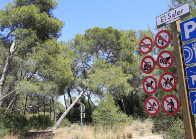 Imagen secundaria 1 - La Guardia Civil, en el lugar de los hechos y mapa de la primera calle de El Saler, a la salida del pueblo. 