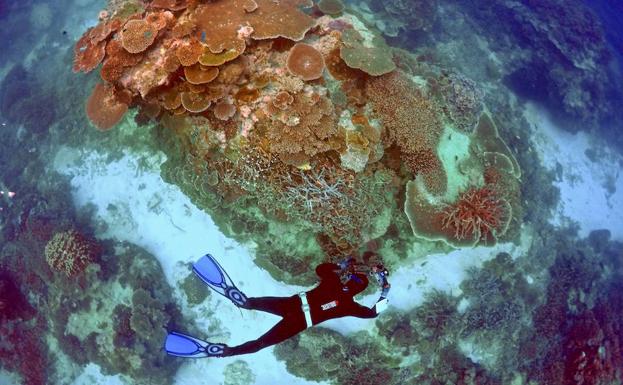 Arrecifes de coral en Australia.