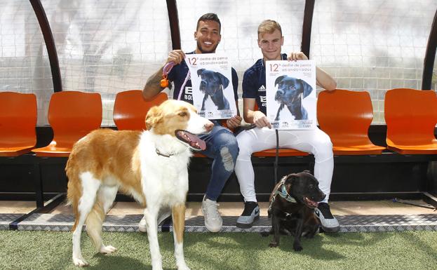 Los jugadores del Valencia Vezo y Lato, colaborando con el desfile solidario de perros abandonados.