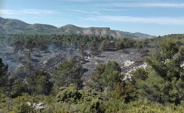 Los bomberos dan por controlado el incendio forestal en la Vall d'Alcalà tras calcinar entre tres y cinco hectáreas 