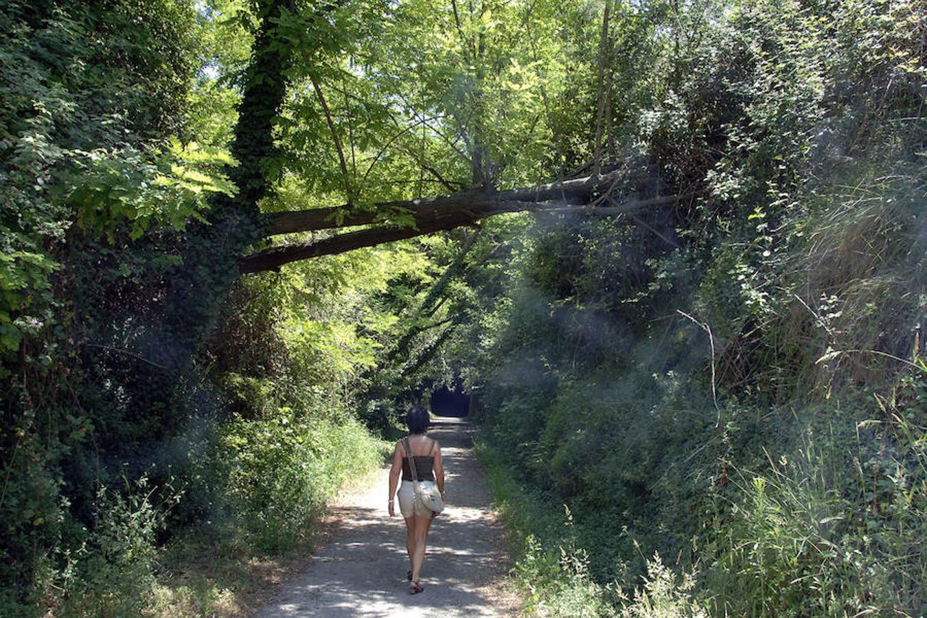 La Comunitat Valenciana, Andalucía, País Vasco, Cantabria... España tiene un red de Vías Verdes (rutas sobre el antiguo trazado del ferrocarril) de 2.700 kilómetros. Sólo en Valencia, Alicante y Castellón hay 11 de estos trazados y 162 kilómetros de naturaleza para disfrutar.