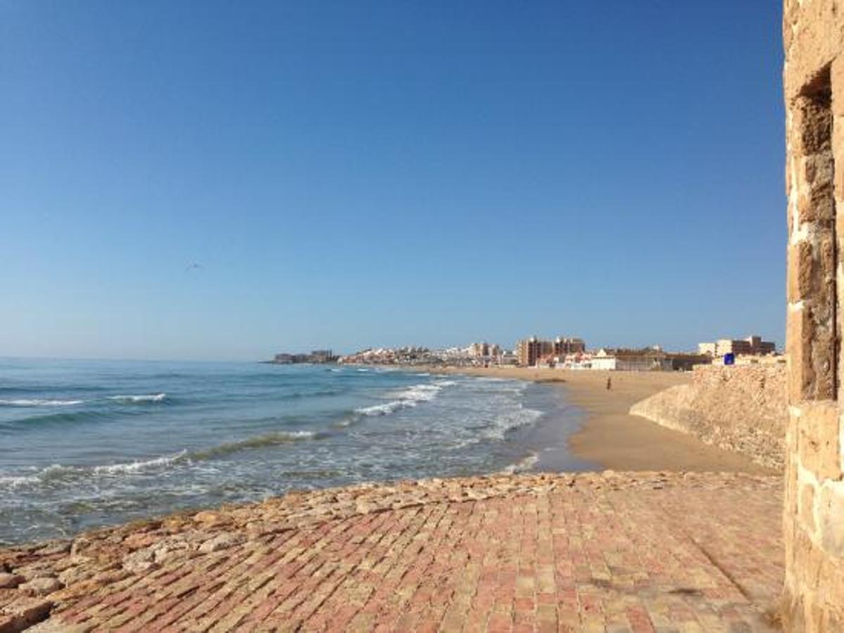 El otro galardón es para la playa del Cabo Cervera, en Torrevieja. Un pequeño entrante terrestre de arena fina que luce junto a la antigua torre de vigilancia costera conocida como Torre del Moro.