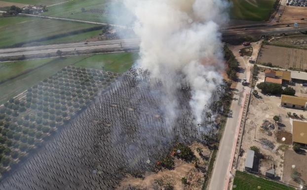 Imagen de la zona afectada por el fuego, muy cerca de la autovía. 