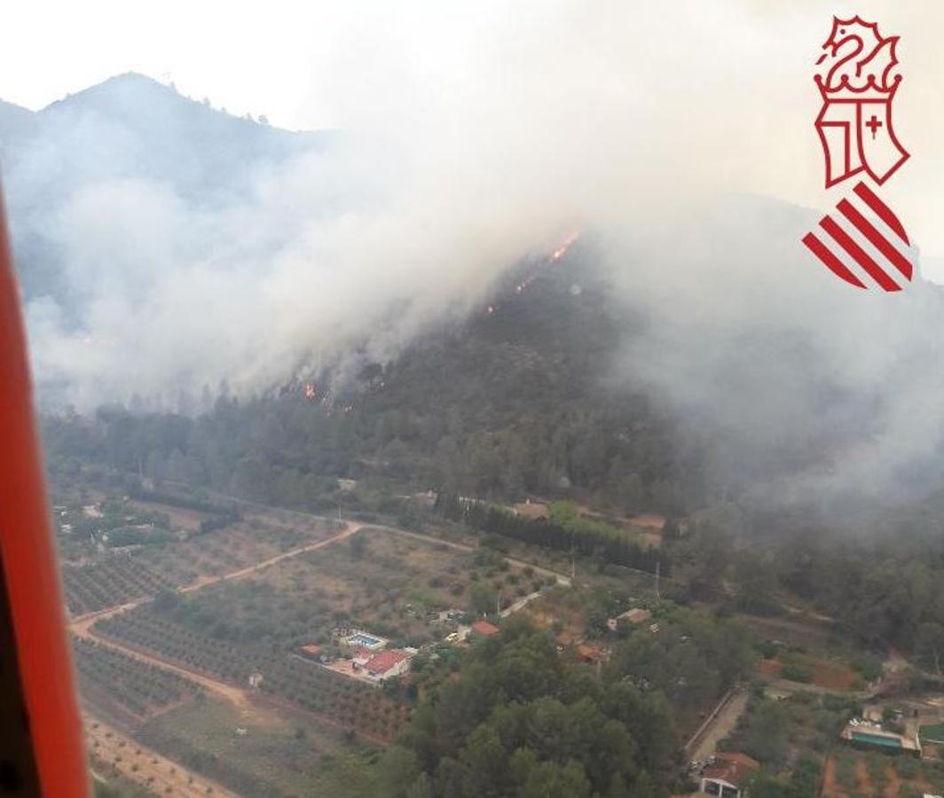 Fotos: Un incendio obliga a desalojar a 60 personas de una zona de pic-nic de Genovés