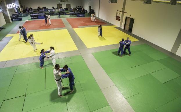 Los judocas olímpicos irán a Tokio desde Valencia
