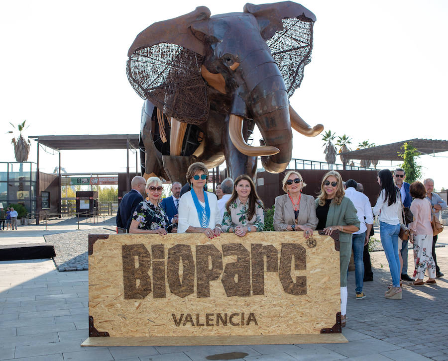 El alcalde de Valencia, Joan Ribó, el secretario autonómico de Turismo, Francesc Colomer, el escritor Santiago Posteguillo y el presidente de Rain Forest, José Maldonado, inauguran la impresionante escultura de un elefante africano, hito de la celebración del 10º aniversario del parque.