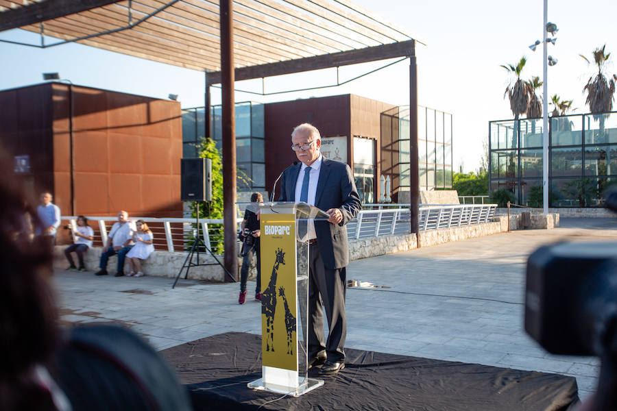 El alcalde de Valencia, Joan Ribó, el secretario autonómico de Turismo, Francesc Colomer, el escritor Santiago Posteguillo y el presidente de Rain Forest, José Maldonado, inauguran la impresionante escultura de un elefante africano, hito de la celebración del 10º aniversario del parque.