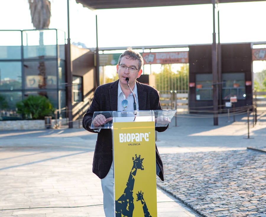 El alcalde de Valencia, Joan Ribó, el secretario autonómico de Turismo, Francesc Colomer, el escritor Santiago Posteguillo y el presidente de Rain Forest, José Maldonado, inauguran la impresionante escultura de un elefante africano, hito de la celebración del 10º aniversario del parque.