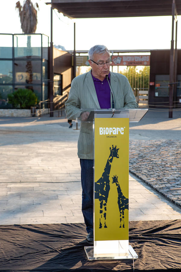 El alcalde de Valencia, Joan Ribó, el secretario autonómico de Turismo, Francesc Colomer, el escritor Santiago Posteguillo y el presidente de Rain Forest, José Maldonado, inauguran la impresionante escultura de un elefante africano, hito de la celebración del 10º aniversario del parque.