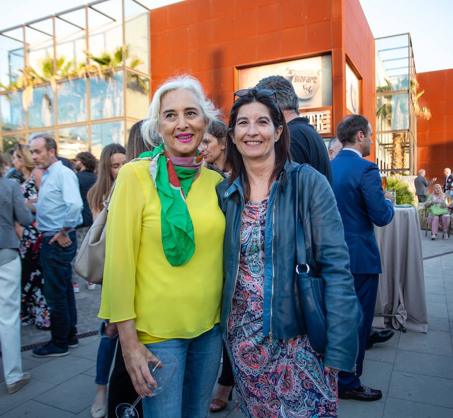 El alcalde de Valencia, Joan Ribó, el secretario autonómico de Turismo, Francesc Colomer, el escritor Santiago Posteguillo y el presidente de Rain Forest, José Maldonado, inauguran la impresionante escultura de un elefante africano, hito de la celebración del 10º aniversario del parque.