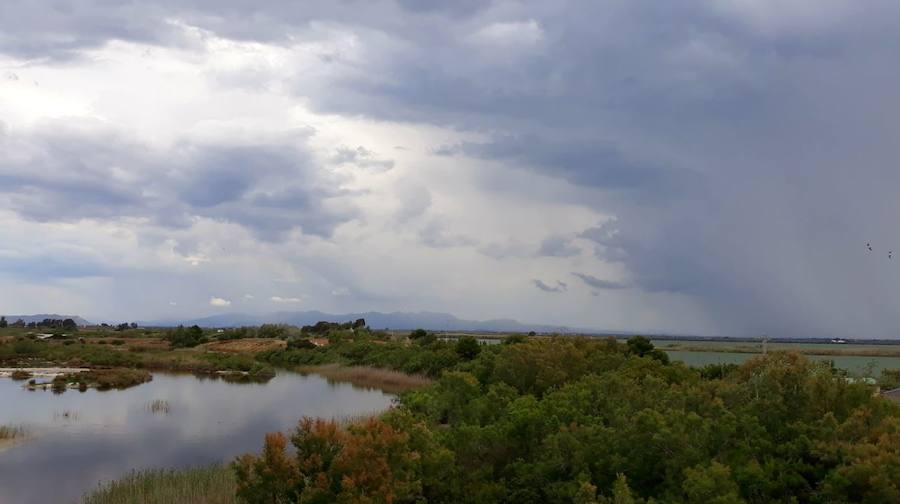 Albufera de Valencia