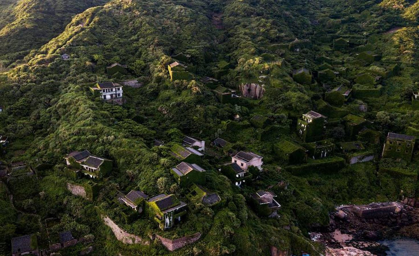 Las casas quedaron abandonadas y la Naturaleza comenzó su trabajo.