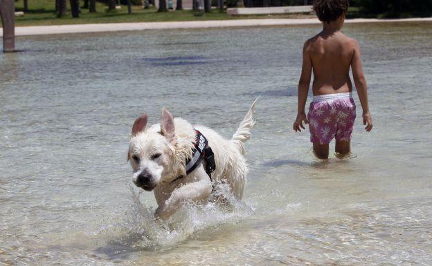 Jornada de calor en la ciudad de Valncia.