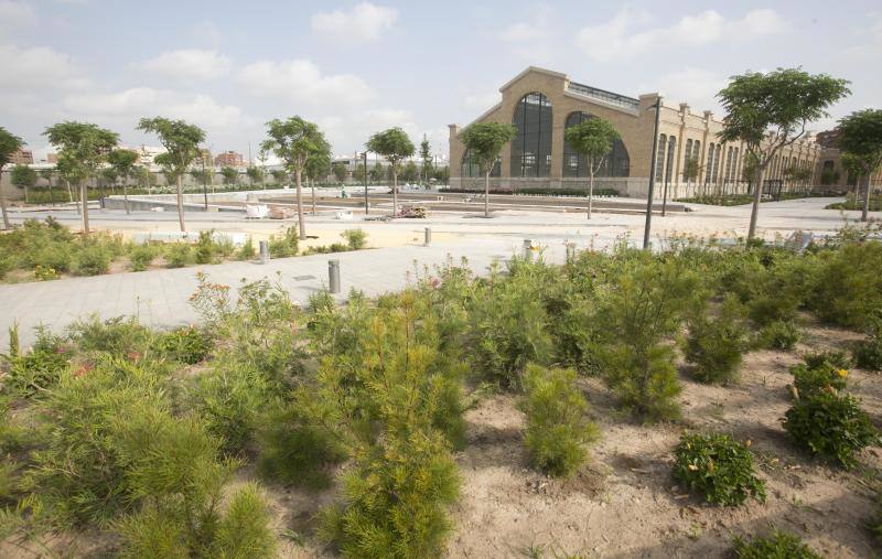 Fotos: Fotos del Parque Central de Valencia, que ultima su apertura