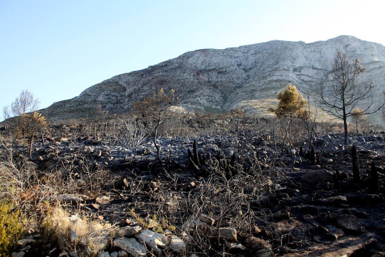 El incendio decretado el domingo en el paraje protegido del Montgó, entre los límites de Dénia y Xàbia, ha arrasado seis hectáreas. Un helicoptero y varias dotaciones de bomberos siguen refrescando la zona. 