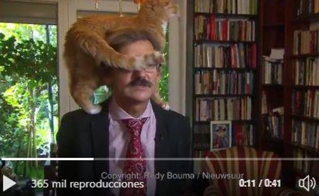 El gato aparece en mitad de la entrevista al politólogo. 