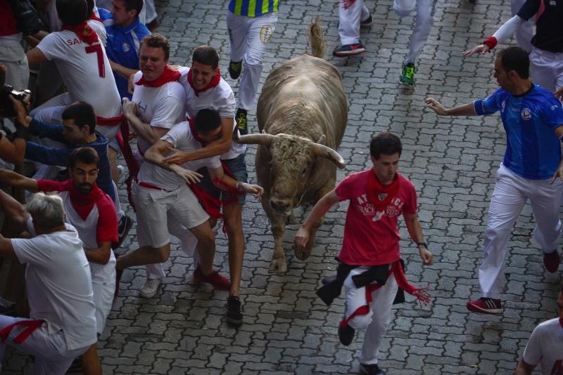 Los astados protagonizan una carrera rápida con algunos momentos de tensión