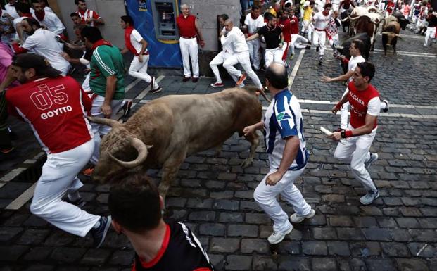 Los toros y los corredores, juntos en Pamplona.