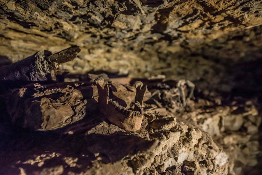 Una torre de treinta metros de profundidad, excavada hace 2.500 años al sur de la pirámide de Unas, en la necrópolis de Sakara, era parte de un centro de momificación y esconde una «mina de oro de información» sobre el arte de preservar los cuerpos de los muertos antes de su viaje al más allá.