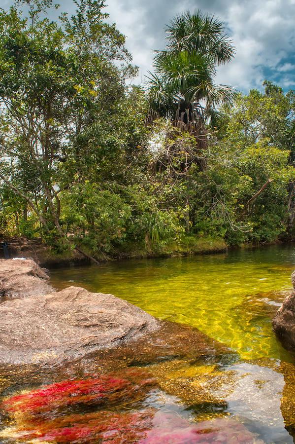 Parece sacado de un cuento pero en realidad se encuentra en Colombia (a unos 150 kilómetros al sur de la capital, Bogotá). El Caño Cristales o el río de colores, como también es conocido, es una de las bellezas naturales del planeta. Su singularidad se encuentra en su recital cromático que parece sobrenatural. Considerado por muchos como el río más bonito del mundo se conserva virgen. Con una riqueza biológica única, recorre alrededor de 100 kilómetros de la Serranía de la Macarena, un conjunto rocoso de 1.200 millones de años de antigüedad.