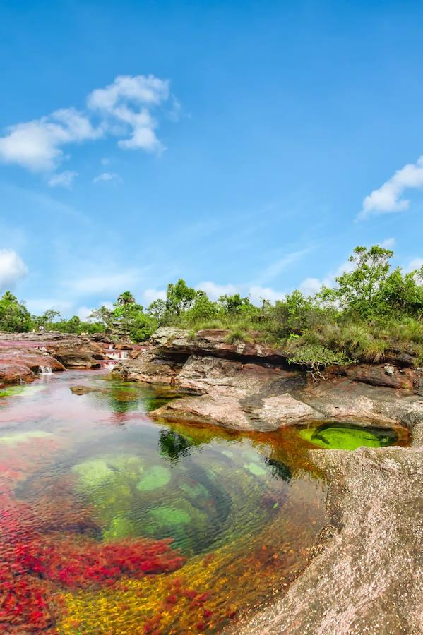 Parece sacado de un cuento pero en realidad se encuentra en Colombia (a unos 150 kilómetros al sur de la capital, Bogotá). El Caño Cristales o el río de colores, como también es conocido, es una de las bellezas naturales del planeta. Su singularidad se encuentra en su recital cromático que parece sobrenatural. Considerado por muchos como el río más bonito del mundo se conserva virgen. Con una riqueza biológica única, recorre alrededor de 100 kilómetros de la Serranía de la Macarena, un conjunto rocoso de 1.200 millones de años de antigüedad.