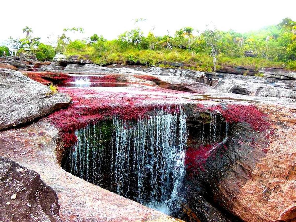 Parece sacado de un cuento pero en realidad se encuentra en Colombia (a unos 150 kilómetros al sur de la capital, Bogotá). El Caño Cristales o el río de colores, como también es conocido, es una de las bellezas naturales del planeta. Su singularidad se encuentra en su recital cromático que parece sobrenatural. Considerado por muchos como el río más bonito del mundo se conserva virgen. Con una riqueza biológica única, recorre alrededor de 100 kilómetros de la Serranía de la Macarena, un conjunto rocoso de 1.200 millones de años de antigüedad.