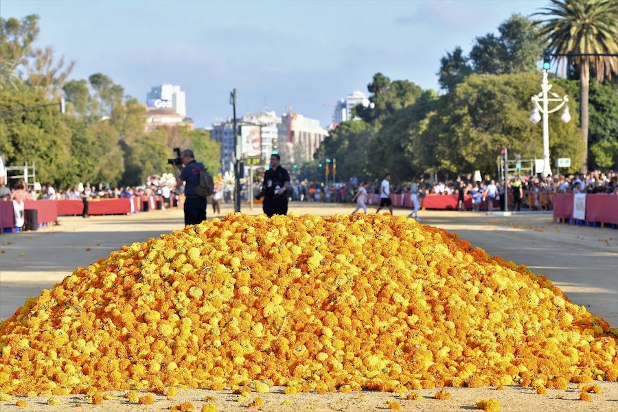 Fotos: Batalla de Flores de Valencia 2018