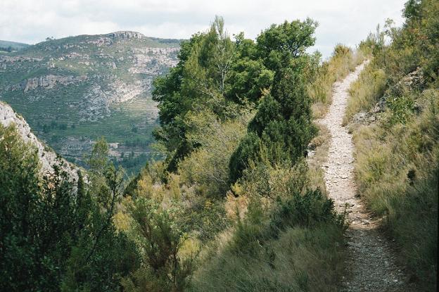 Vistas. El recorrido ofrece a los participantes un paisaje inigualable. 