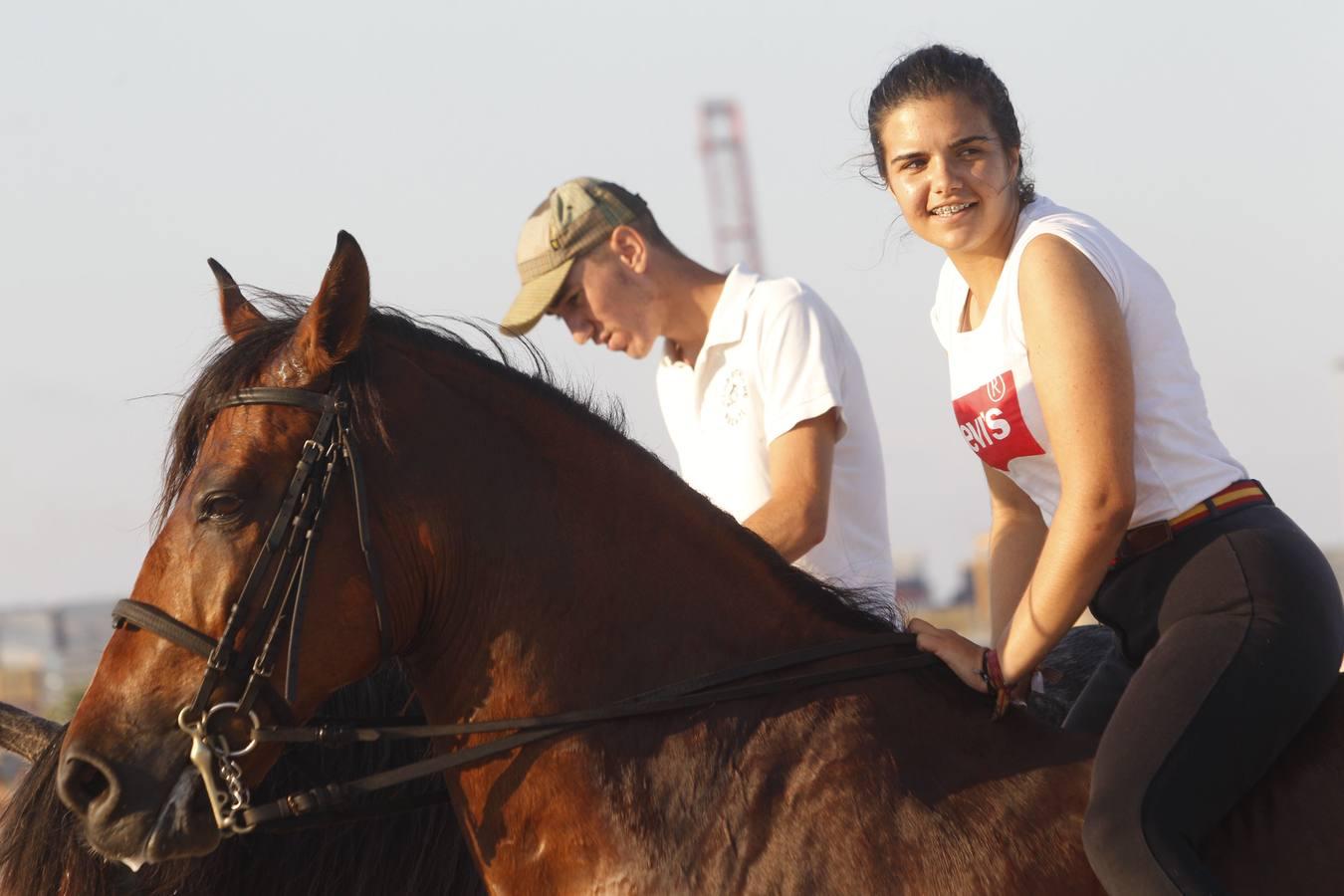 Como cada año desde hace más de dos siglos, este miércoles se celebró la carrera final de uno de los espectáculos con más historia que completan el calendario de fiestas de Pinedo. La exhibición se desarrolló entre las 20 y las 22 horas junto a la playa canina. Este año, la exhibición ha estado compuesta por ocho jinetes de diferentes poblaciones, entre otros Vera Piquer, Empar Zumalde y Pepe Piquer con cuadras de Beniparrell, Albal i El Perellonet. Por segundo año consecutivo, esta fiesta ha sido incorporada a la Feria de Julio, lo que incrementa el ambiente