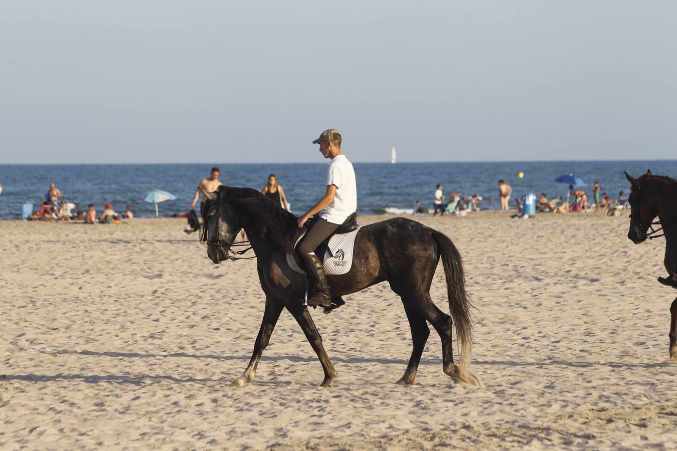 Como cada año desde hace más de dos siglos, este miércoles se celebró la carrera final de uno de los espectáculos con más historia que completan el calendario de fiestas de Pinedo. La exhibición se desarrolló entre las 20 y las 22 horas junto a la playa canina. Este año, la exhibición ha estado compuesta por ocho jinetes de diferentes poblaciones, entre otros Vera Piquer, Empar Zumalde y Pepe Piquer con cuadras de Beniparrell, Albal i El Perellonet. Por segundo año consecutivo, esta fiesta ha sido incorporada a la Feria de Julio, lo que incrementa el ambiente